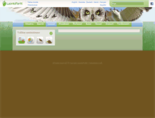 Tablet Screenshot of linnut.luontoportti.fi